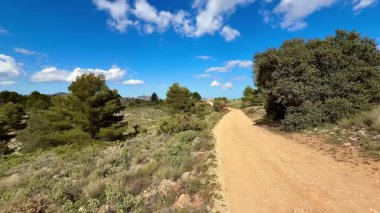 Parlak mavi bir gökyüzünün altında yemyeşil ağaçlar tarafından kucaklanan huzurlu bir yolculuğa çık.