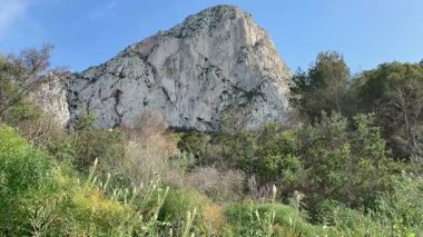 Güçlü bir kaya oluşumunun nefes kesici ve çarpıcı görüntüsü canlı doğanın ortasında görkemli bir şekilde yükseliyor.
