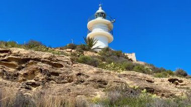 Sersemletici bir deniz feneri kayalık bir yamaçta tünemiş, yemyeşil bitki örtüsü ve parlak mavi gökyüzü ile çevrili..
