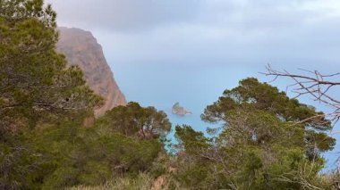 Canlı yeşilliklerle çarpıcı sahil manzarasının tadını çıkarın. Huzurlu ve büyüleyici bir doğal manzara yaratın.