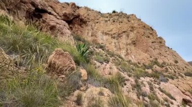 Yeşilliklerle bezenmiş kayalık bir kıyı şeridinin çarpıcı manzarası, muhteşem güzellikler sergiliyor.