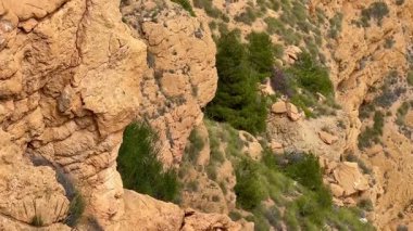 Kesinlikle nefes kesici bir kaya kayalıkları manzarası çarpıcı doğal bir manzaradaki canlı bitki örtüsüyle yan yana.