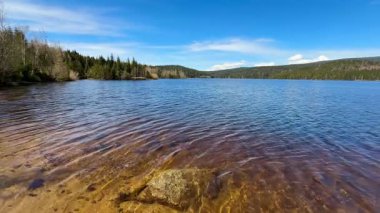 Güzel, sakin bir göl manzarası parıldayan su, yemyeşil ağaçlar ve yukarıda parlak mavi bir gökyüzü.