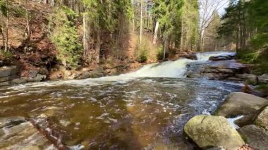 Bereketli, yeşil bir orman bölgesinde kayaların üzerinden yavaşça akan sakin bir nehrin nefes kesici ve çarpıcı görüntüsü.