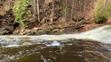 Muhteşem bir şelalenin büyüleyici ve nefes kesici manzarası sakin bir ormanlık alanda zarafetle akıyor.