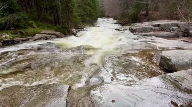 Sakin bir nehir, canlı bir ormandaki pürüzsüz kayaların üzerinden akar. İlkbaharda görkemli doğalar sergiler.
