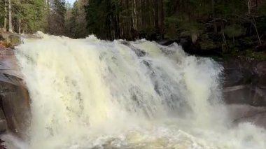 Güçlü bir şelalenin nefes kesen güzelliğini deneyimleyin. Bereketli, yoğun yeşillikler arasında zarafetle akıyor.