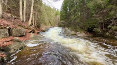 Huzurlu, sakin bir nehir, güzel, yemyeşil ağaçlar ve kayalık kıyılarla çevrili, yumuşak akıntılarla akar.