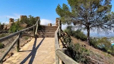 Huzurlu ve sakin bir yol, canlı doğayla çevrili, nefes kesici okyanus manzaralarına doğru ilerliyor.