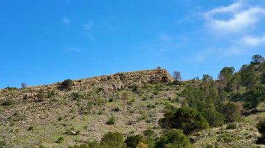Berrak mavi gökyüzünün altında canlı bitki örtüsüyle dolu yemyeşil bir yamaçtan nefes kesici bir manzara hayal edin.