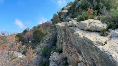 Mavi bir okyanusun üzerinde yükselen kayalık uçurumların, kıyı yolu boyunca yemyeşil, nefes kesici manzarasını tecrübe edin.