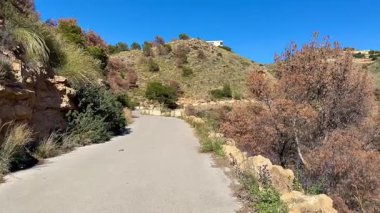 Yumuşak tepeler ve yemyeşil manzaralarla çevrili sakin bir yürüyüş yolu var, hepsi berrak mavi gökyüzünün altında.