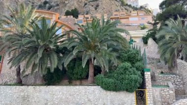 Açık mavi gökyüzüne karşı kurulmuş palmiye ağaçları ve yamaçlardaki konutların büyüleyici ve çarpıcı görüntüsünü deneyimleyin.