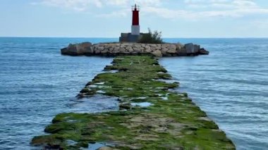 Sakin mavi sular ve canlı yeşilliklerle çevrili engebeli bir iskelenin üzerinde nefes kesici bir deniz feneri duruyor.