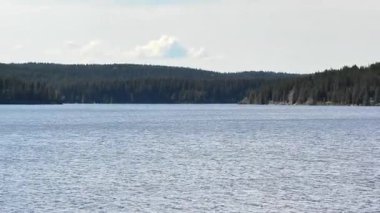 Sakin ve sakin bir göl manzarası sakin, çarpıcı, sık bir orman zeminiyle yansıtıcı sular sergiliyor.