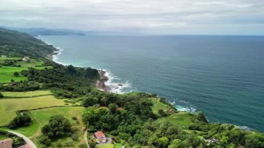 Hava görüntüsü, dingin suların yanında canlı yeşil alanlar gösteren pitoresk bir kıyı şeridi yakalar.