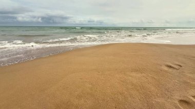 Huzurlu bir sahil sahnesinde altın kum ve yumuşak okyanus dalgaları karamsar bir gökyüzünün altında yavaşça süzülüyor.