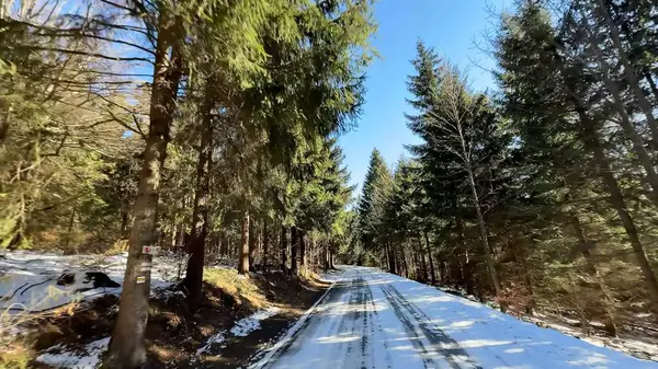 Huzurlu, sakin kar tozlu bir yol her daim yeşil ağaçların arasından esen açık mavi gökyüzünün altında.