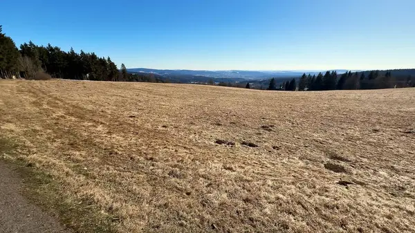 Sakin bir manzara engin yeşil bir tarlayı ve berrak mavi gökyüzünün altında uzak görkemli dağları barındırır.