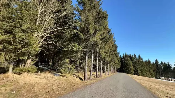 Huzurlu, sakin bir yol, yukarıdaki parlak mavi gökyüzünün altında uzanan, her daim yeşil ağaçların arasında dolanıyor.