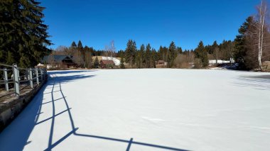 Durgun ve sakin bir göl, uzun ağaçlarla çevrili, sakin kışlar sergileniyor.