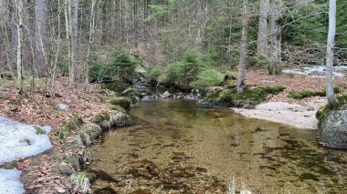 Berrak su ve yansıtıcı yüzeylerin yer aldığı, doğanın güzelliğini aydınlatan sakin bir orman deresi..
