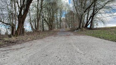 Huzurlu ve huzurlu bir yol, doğa yürüyüşü için ideal, berrak, parlak bir gökyüzünün altındaki ağaçlarla süslenir.