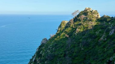 Açık bir günde sakin okyanus sularına bakan kıyı kayalıklarının nefes kesici manzarası gerçekten büyüleyici.