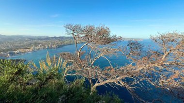 Huzurlu sahil şeridinin nefes kesici ve pitoresk manzarası güzel çerçevelenmiş uzun bir ağaç tarafından.