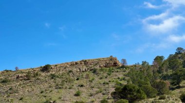 Berrak mavi gökyüzünün altında canlı bitki örtüsüyle dolu yemyeşil bir yamaçtan nefes kesici bir manzara hayal edin.