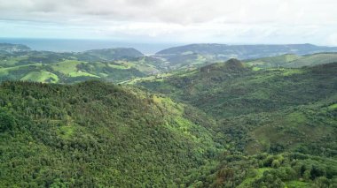 Parlak okyanusla birleşen yemyeşil tepelerin çarpıcı hava manzarasını tecrübe edin.