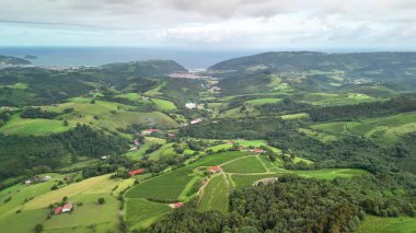 Çarpıcı hava manzarası, bulutlu bir gökyüzünün altında dingin okyanusla buluşan canlı yeşil alanlar sergiliyor.