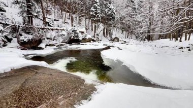 Güzel ve sakin bir kış sahnesinde karla kaplı bir nehir sakin bir ormanın içinden yavaşça akıyor.