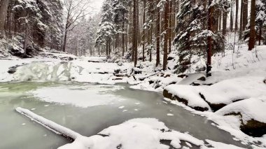 Sakin bir kış sahnesinde karla kaplı ağaçlar ve donmuş bir nehir, huzur ve sükunet hissi uyandırıyor.