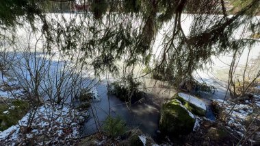 Huzurlu bir kış sahnesi sergilenen yumuşak kar, titreyen su ve dingin donmuş gölün yakınındaki canlı yeşillik.