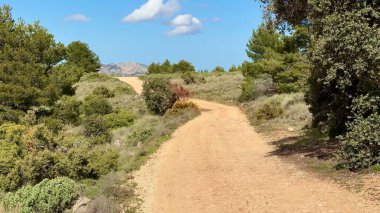 Bereketli yeşilliklerin ve mavi gökyüzünün ortasında, açık hava maceraları ve doğa için mükemmel, huzurlu bir toprak yolda gezinmek.