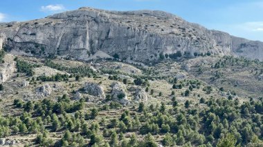 Görkemli dağların ve berrak mavi gökyüzünün altındaki yemyeşil ormanların nefes kesici manzaralarını tecrübe edin.
