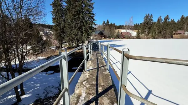 Göz kamaştırıcı güzellikte karlı bir manzara sergiliyor dolambaçlı bir yol ve açık mavi gökyüzünün altındaki uzun ağaçlar.