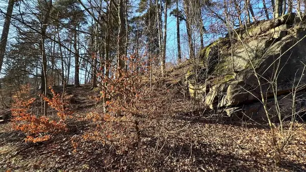 Berrak mavi gökyüzünün altında yemyeşil ağaçlar ve kuru yapraklarla çevrili yüksek bir kaya oluşumunun çarpıcı bir görüntüsü.