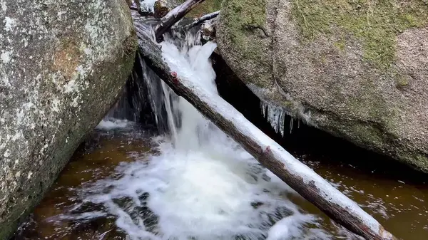 Su kayaların arasından akar, güzel buz oluşumları ve narin donlarla sakin bir kış sahnesi yaratır.