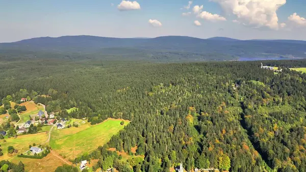 Uçsuz bucaksız ormanları ve dingin manzaraları gösteren bir hava manzarası berrak mavi bir gökyüzünün altında güzelce gerilmiş.