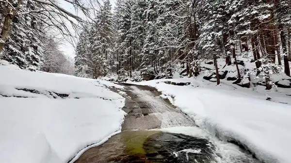Karlı bir ormanda fırtınalı ve donmuş bir dağ nehri..