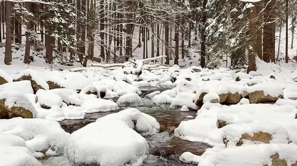 Güzel, huzurlu bir kış manzarası karla kaplı bir nehrin sakin bir orman manzarasında kıvrılarak ilerlediğini gösteriyor.