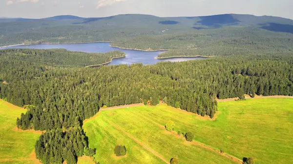 Nefes kesen bir hava görüntüsü, verimli ormanları ve aşağıdaki muhteşem, sakin gölü güzel bir şekilde gösteriyor.