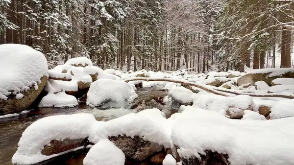 Huzurlu bir kış sahnesinde, sakin bir ormanın ortasında pürüzsüz taşlarla kaplı karla kaplı güzel bir nehir sergileniyor.