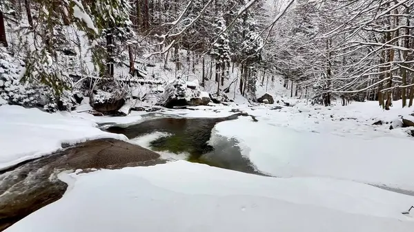 Donmuş dağ nehri ve karlı orman. Doğanın sesleri..