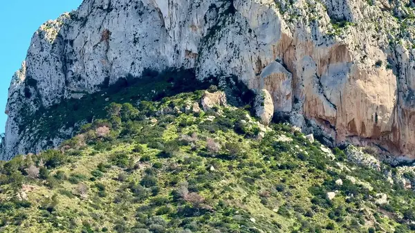 Göz kamaştırıcı kayalık bir dağ, berrak mavi gökyüzüne karşı sergilenen canlı bitki örtüsüyle dramatik bir şekilde yükselir.