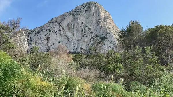 Güçlü bir kaya oluşumunun nefes kesici ve çarpıcı görüntüsü canlı doğanın ortasında görkemli bir şekilde yükseliyor.