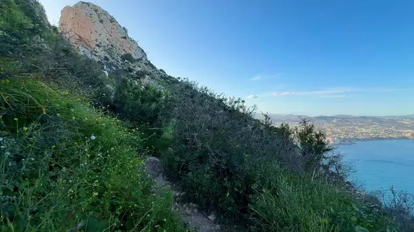Bu çarpıcı kıyı manzarası canlı, yemyeşil bitki örtüsünü güzel, berrak mavi sularla eşleştirir.