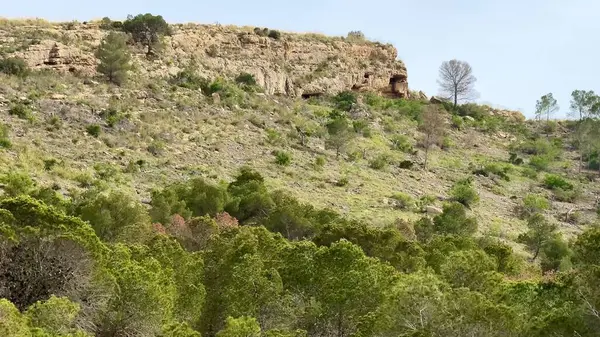 Nefes kesici bir manzara, engebeli yamaçlar, yukarıdaki açık mavi gökyüzünün altında yemyeşil, gür ve canlı bir manzarayla bezenmiş.